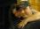 steven thomas 42 SC
