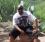 brian roberts 54 AZ