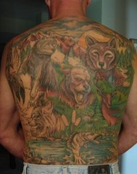 Sean Scheiben