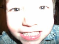 waylon shell