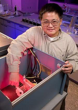 Haidong Zhang