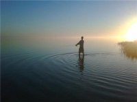 stephen hulst
