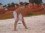 michael jacobs 36 FL