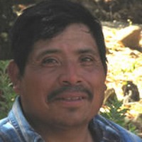 Brian Manes