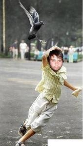 tyler weaver