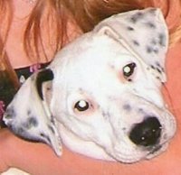 Cherri Bowermaster