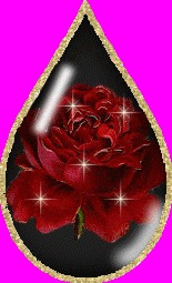 Rosemary Hillman