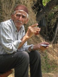 Servet Tosun