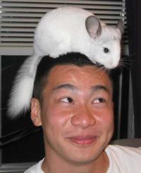 steven liu