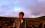 steven thompson 69 WI