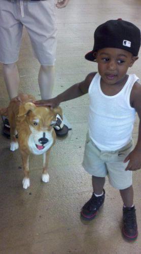 Hopeton Harrell