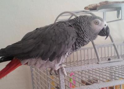 profile