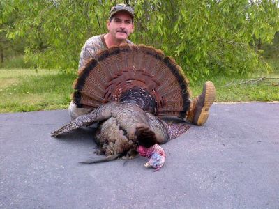 Jeffery Gibbons