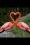 sandra haddock 74 SC