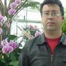 roy rust