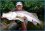 randall jacobs 69 FL