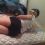 jeremy blevins 30 TN