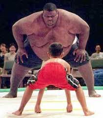 steve hansen