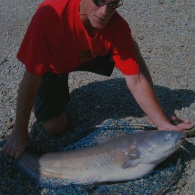 Nicholas Maus