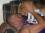 isaac fields 51 OR