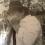 steven higgins 73 CA