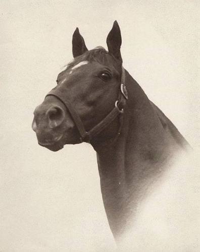 Marlaine Meeker