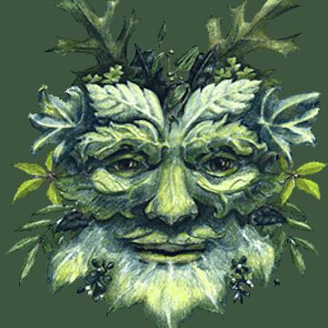 Douglas Root