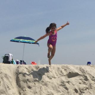 Stephanie Scheiner